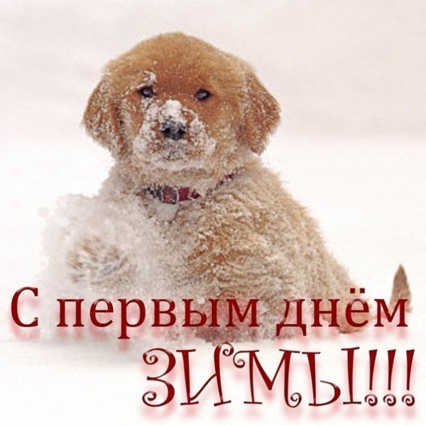 Первый день зимы