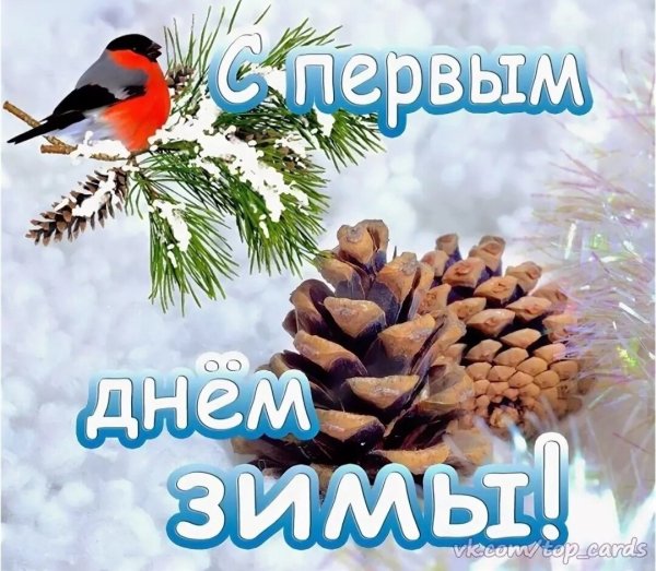 Поздравление с первым днем зимы