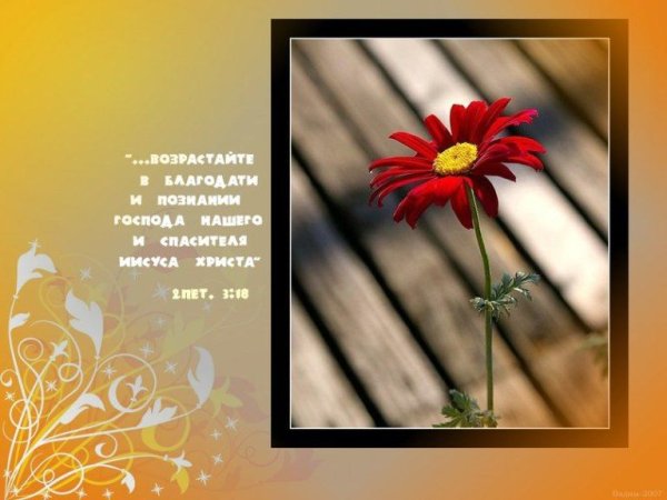 Христианские открытки и ободрения