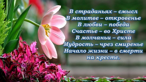 Христианские пожелания на день