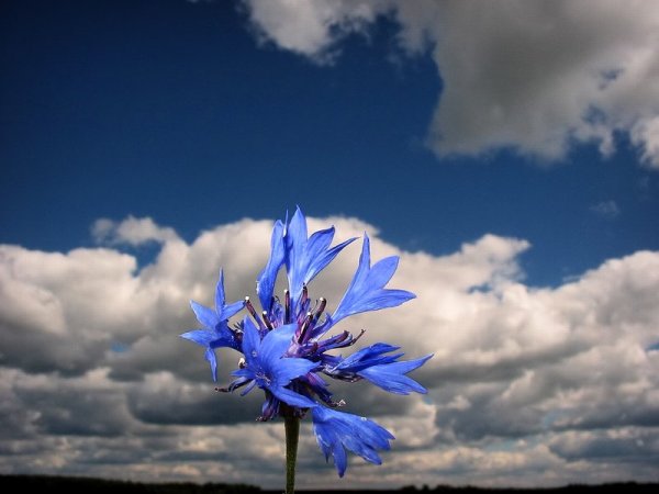 Христианские стихи