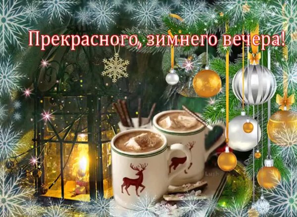 Спокойной зимней ночи