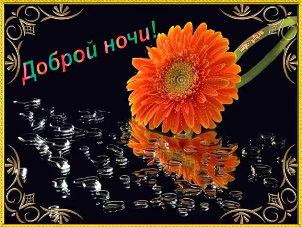 Доброго вечера и спокойной ночи