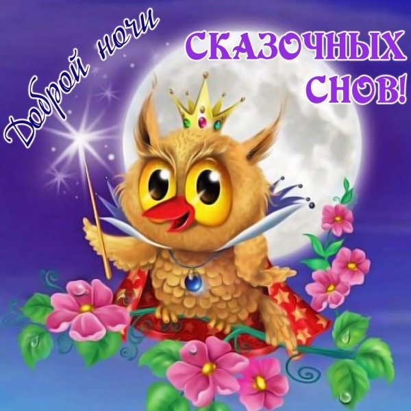 Прикольные пожелания спокойной ночи