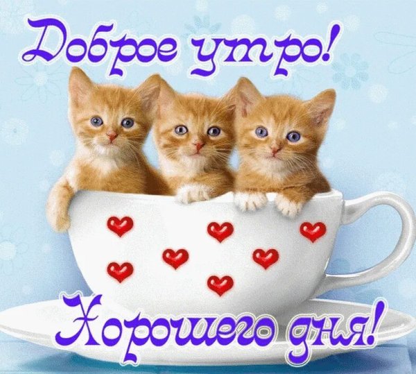 Пожелания с добрым. Уа Тром