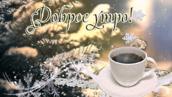 Доброе утро зима