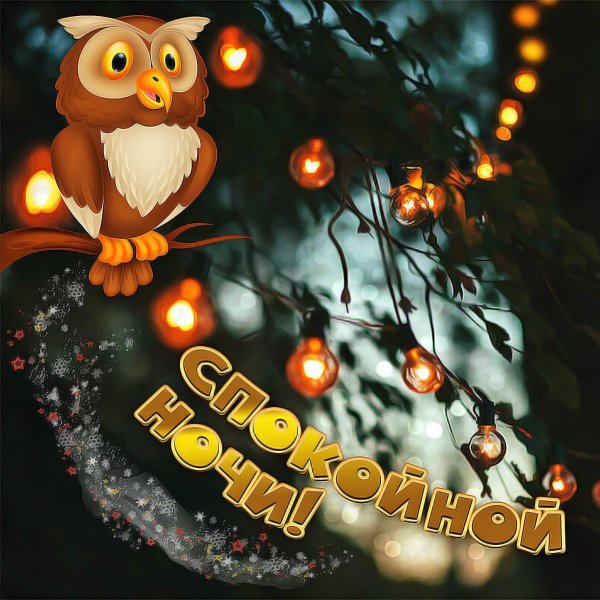 Доброй ночи сладких снов