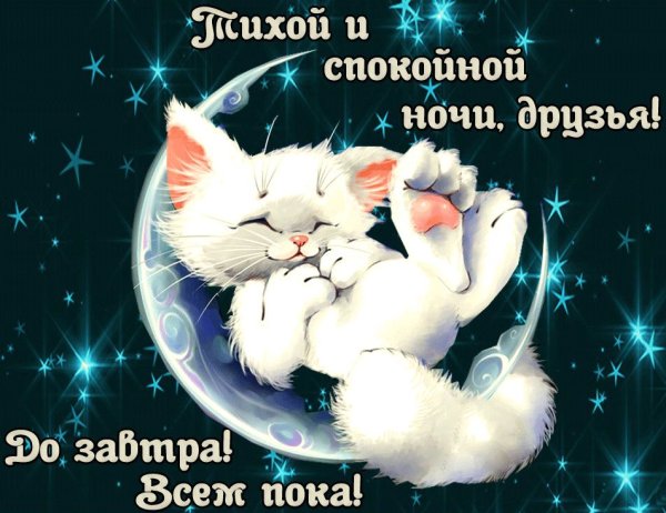 Спокойной ночи мишка