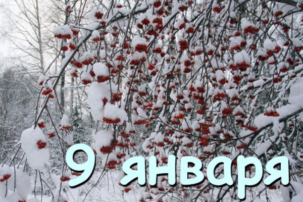 9 Января Дата