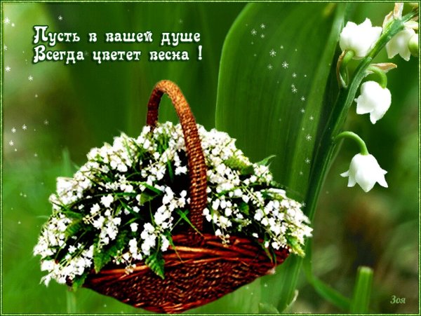 Цветы весенние с добрыми пожеланиями