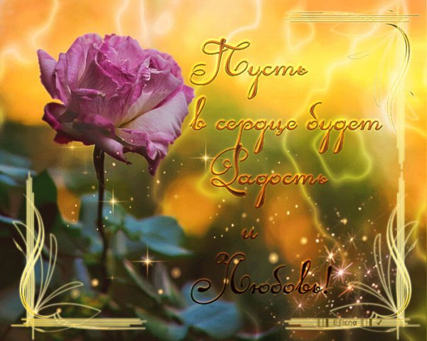 Открытка счастья и радости в жизни