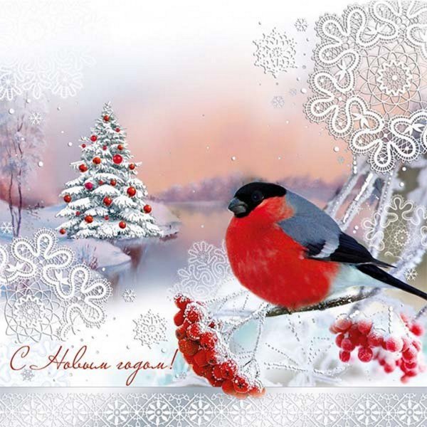 Открытка с новым годом Снегири