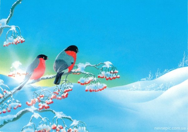 Снегирь на голубом фоне