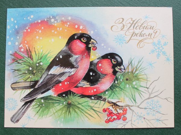 Советские открытки с новым годом Снегири