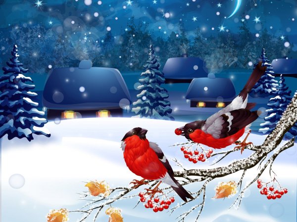 Доброго зимнего утра и хорошего дня прикольные