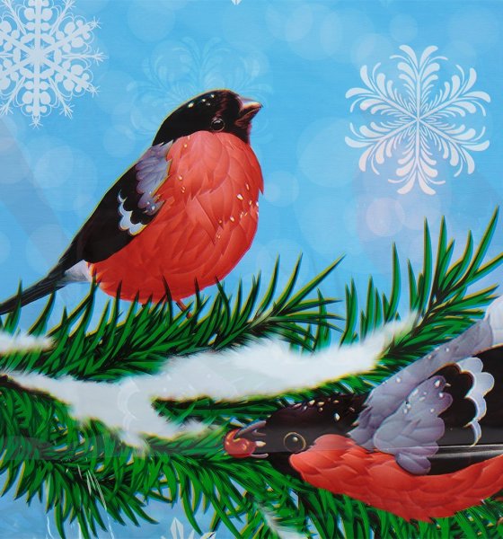 Снегирь рисунок