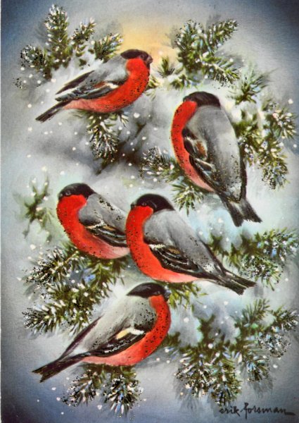 Новогодние открытки с птицами