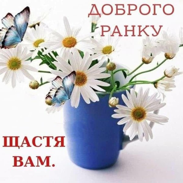 Доброго ранку