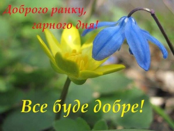 Поздравления с добрым утром на украинском языке