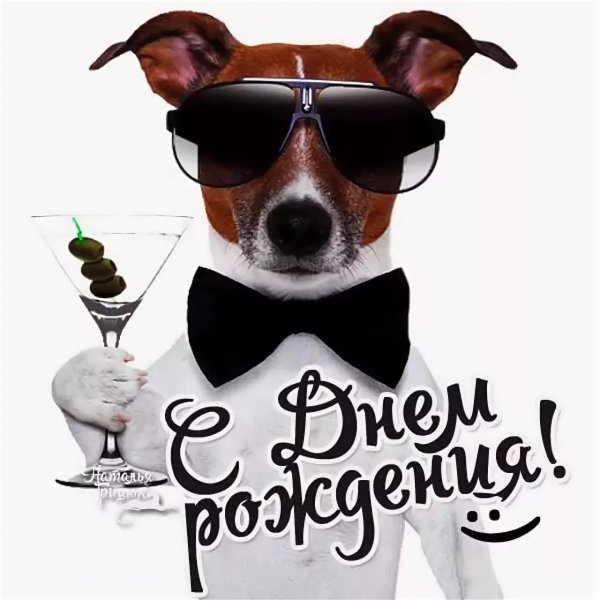 Поздравления с днём рождения мужчине с приколом