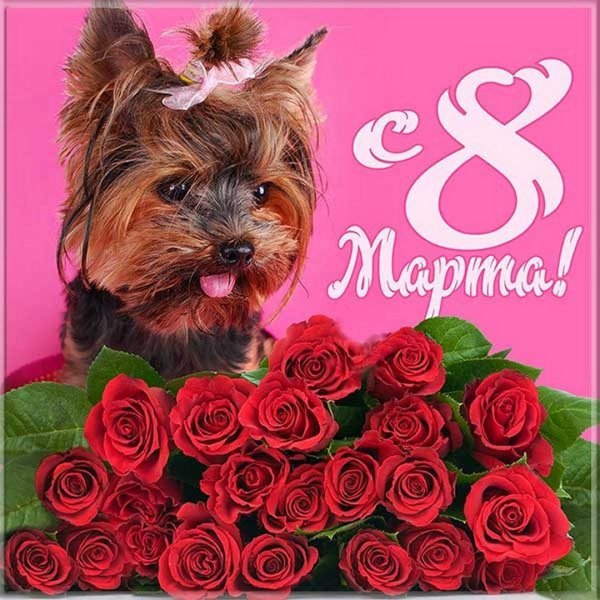 К празднику. 8 Марта