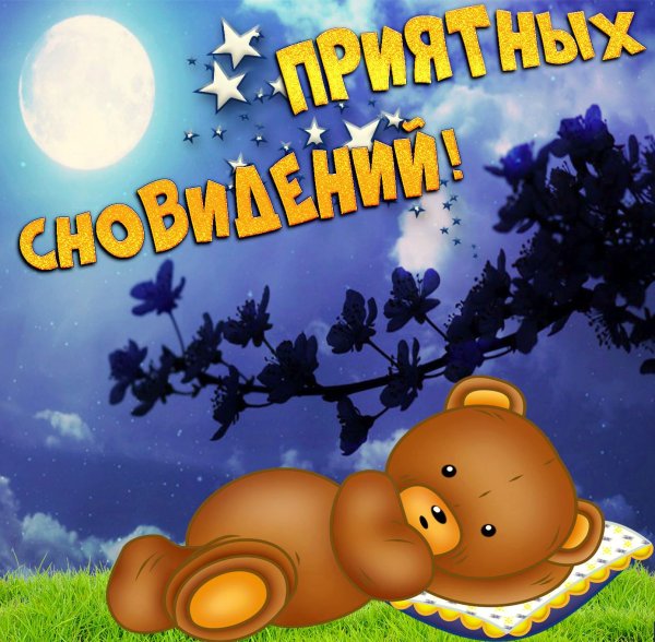 Спокойной ночи сладких снов