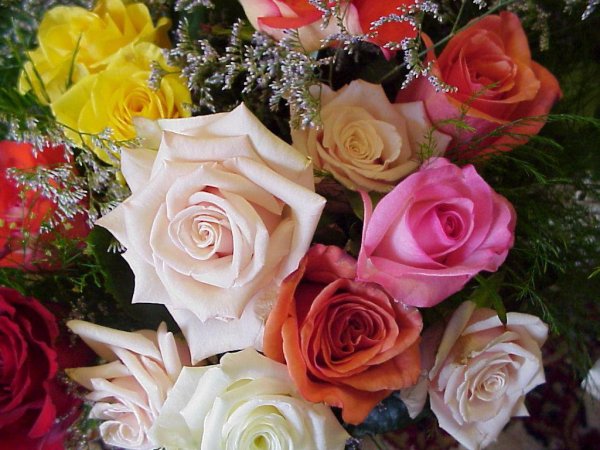 Чыккан кунинле поздравления