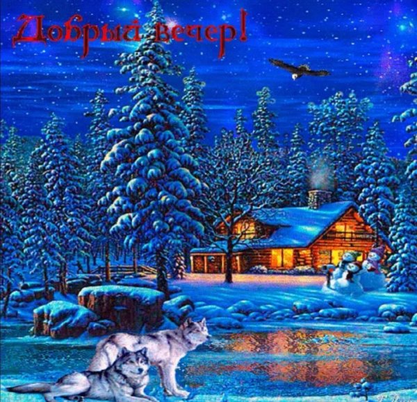 Добрый зимний вечер с животными