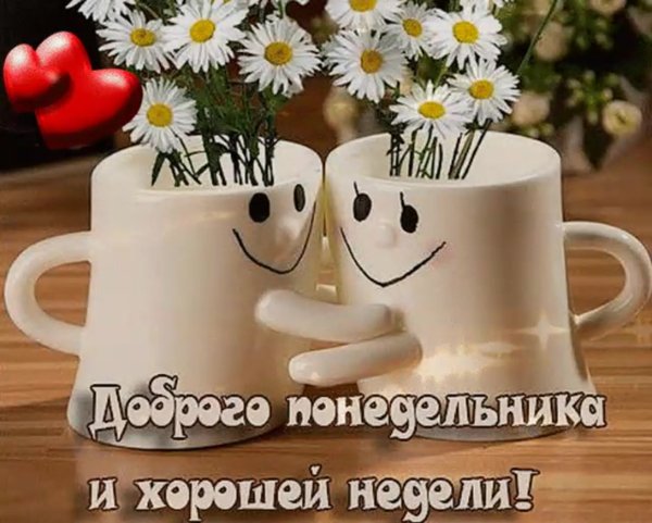 Доброго понедельника ромашки