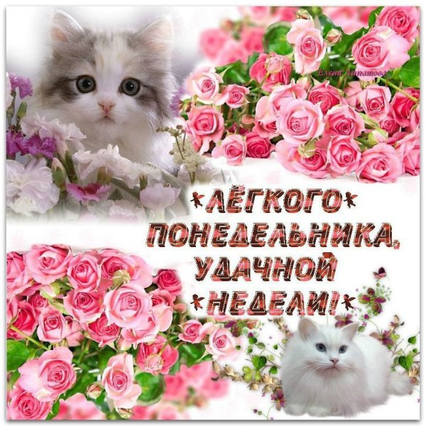 Открытки с понедельником