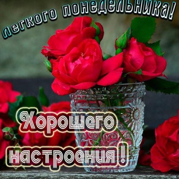 Поздравление с понедельником