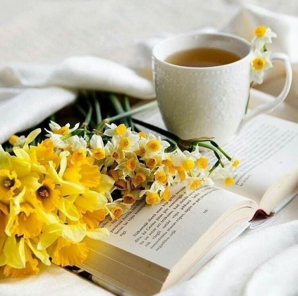 Прекрасного настроения в понедельник