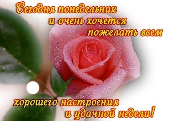 Хорошей недели