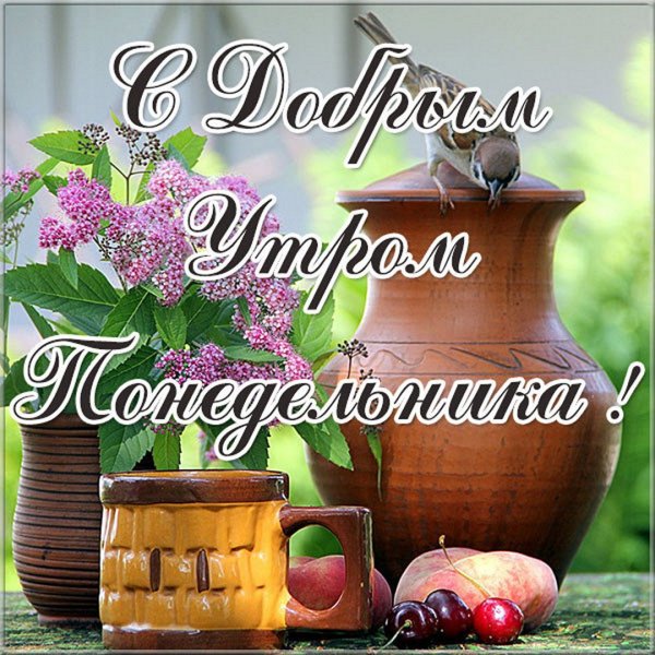 Хорошего понедельника и отличного настроения