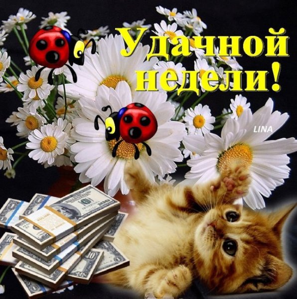 Поздравления с добрым утром понедельника