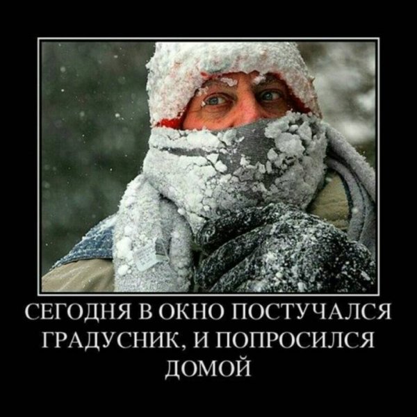 Приколы про Мороз