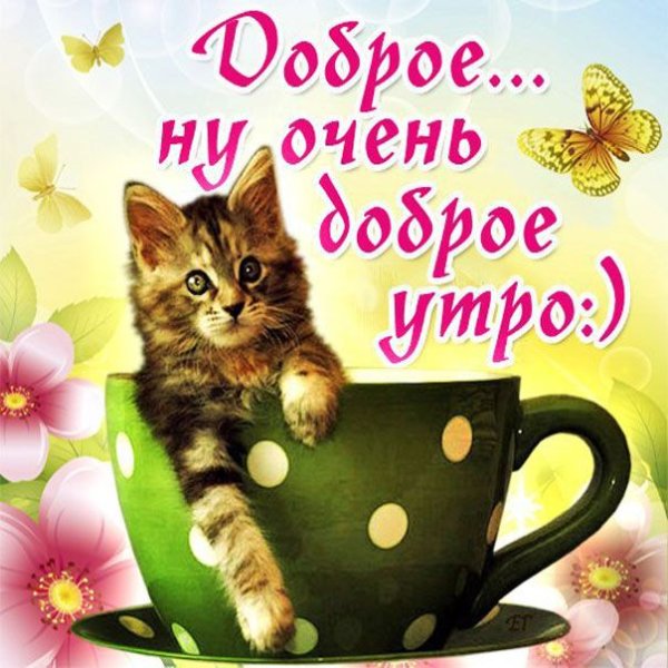 Открытки с добрым утром мужчине