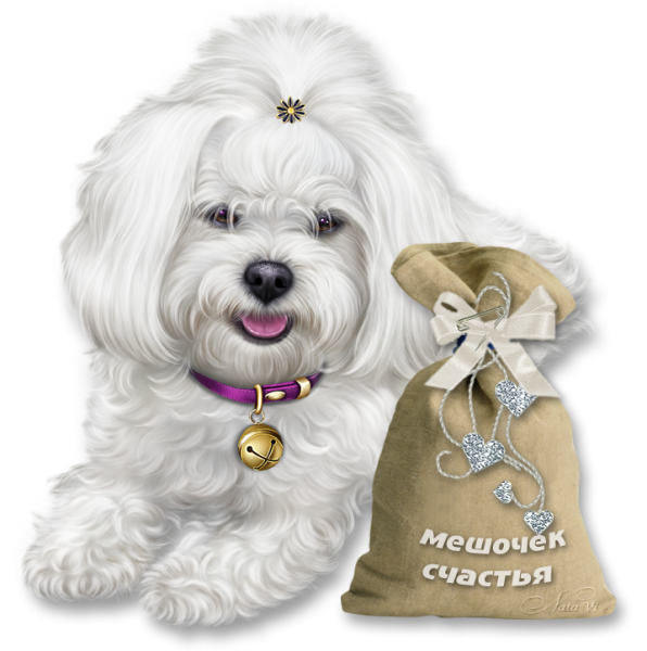 Открытка «собачки»