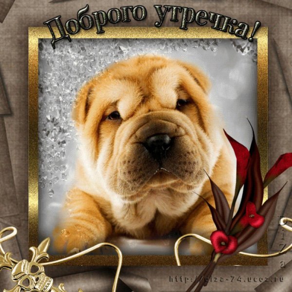 Пожелания с добрым утром с собачками