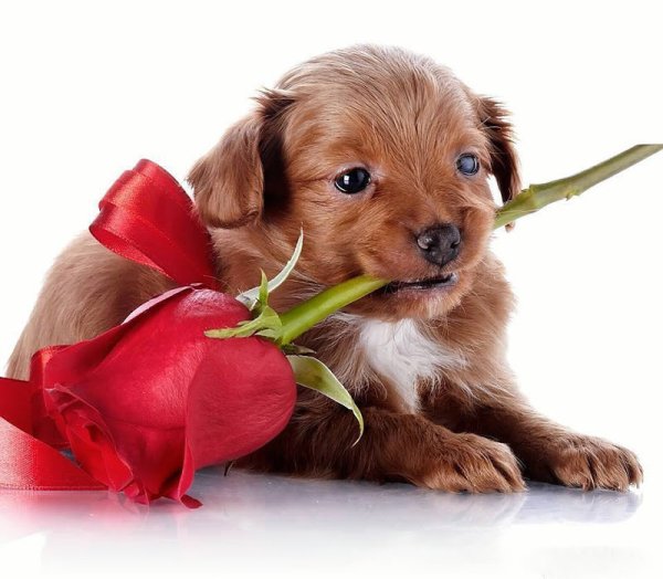 Всё будет хорошо!