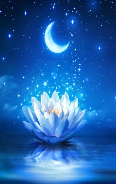 Открытки спокойной ночи