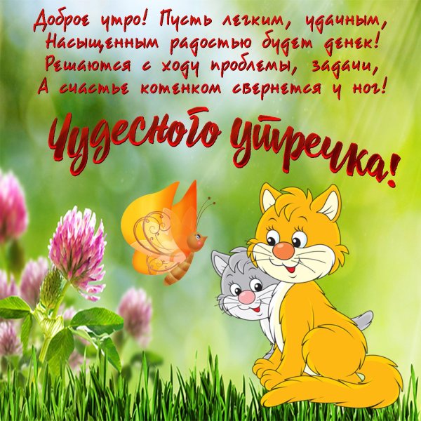 Веселые пожелания с добрым утром