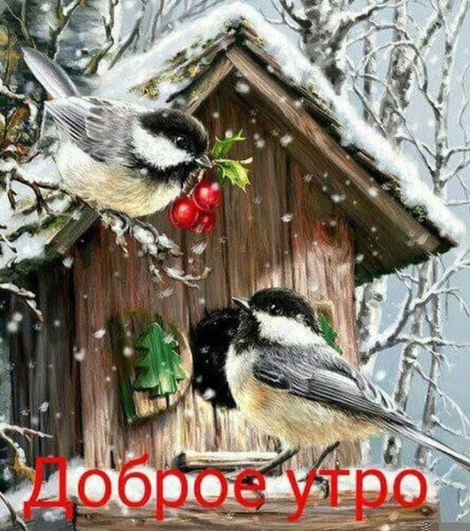 Доброе зимнее утро