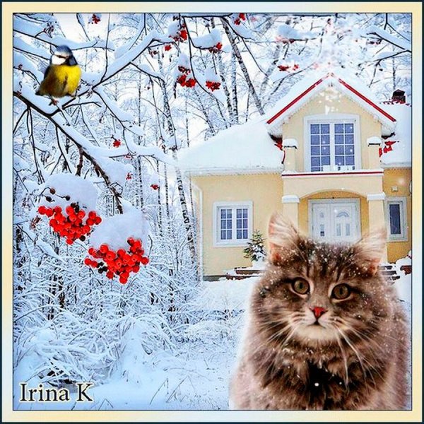 Открытки с солнечным зимним днем