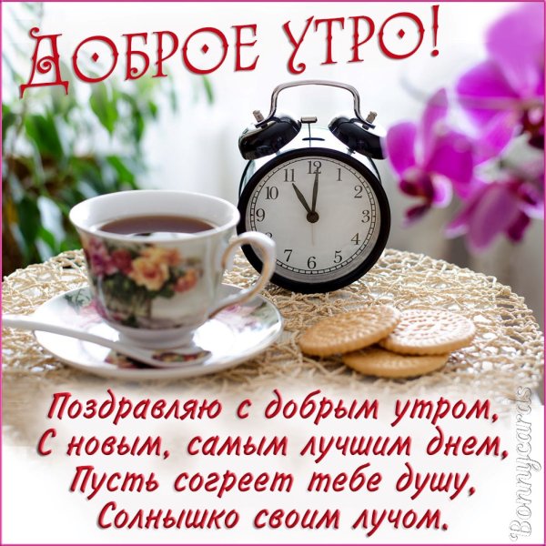 Пожелания с добрым утром и хорошего дня