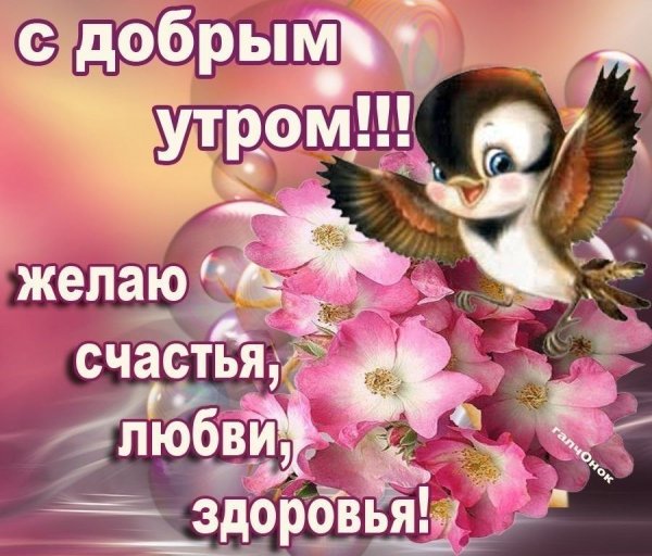 Открытки с добрым воскресным утром