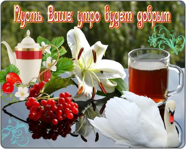 Доброе утро здоровья вам