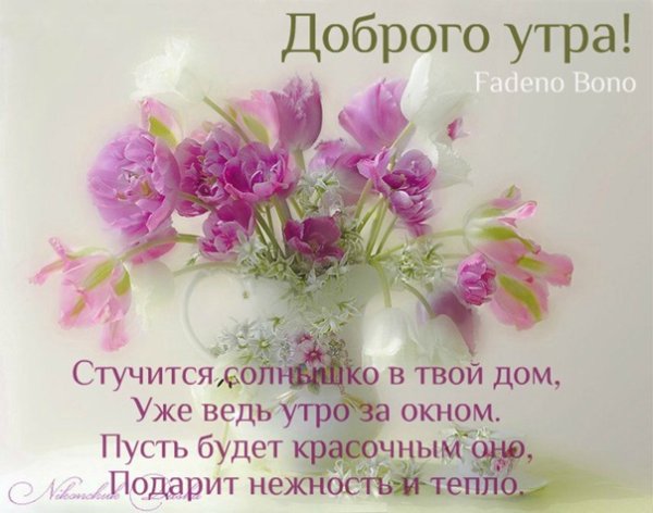Стихи с добрым утром хорошему человеку