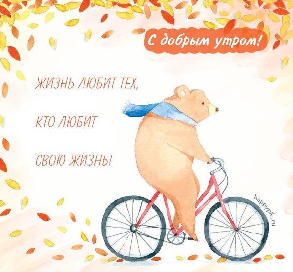 Мишка на велосипеде