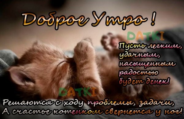 Доброе утро любимый сыночек